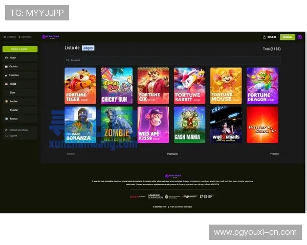 pg娱乐电子游戏平台官方版网站正式上线引领行业新潮流，玩家体验全面升级